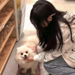 布阵英雄官方版下载
